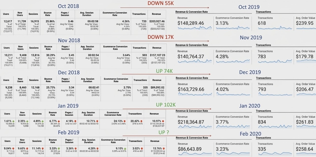 Client E — From Freefall to Revenue Comeback